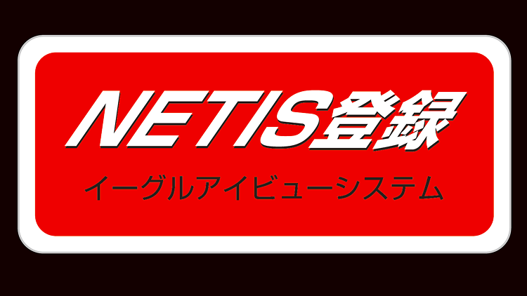 NETIS登録イーグルアイビューシステム