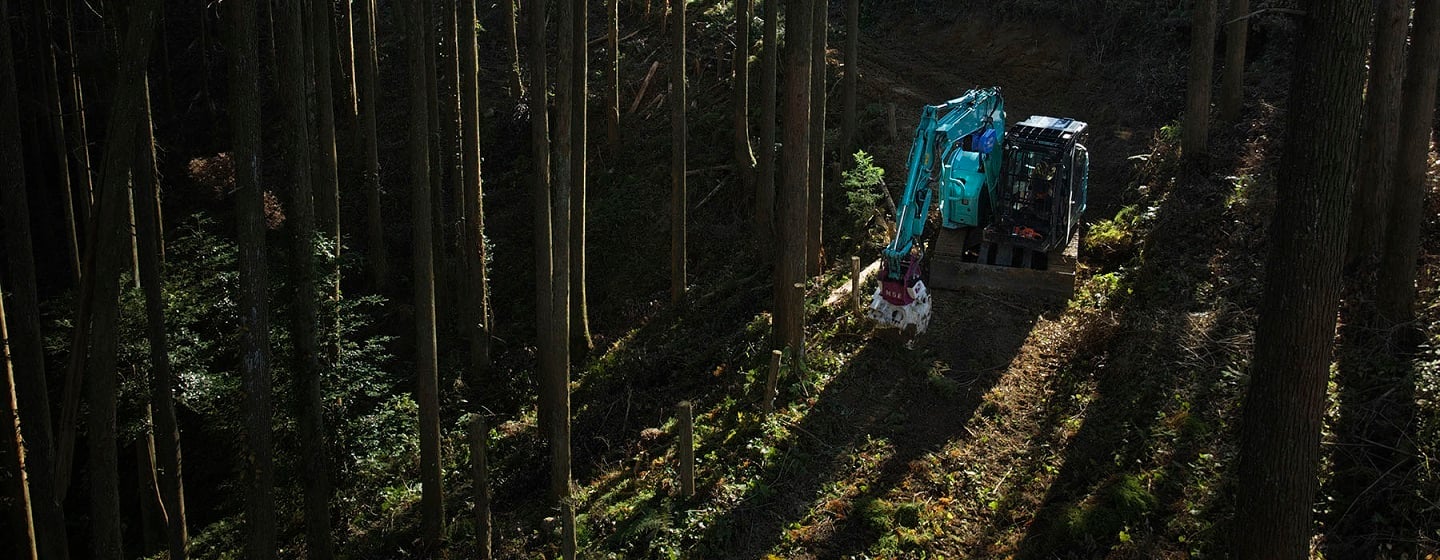 forestry_mv