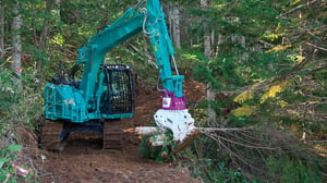 forestry_needs_1