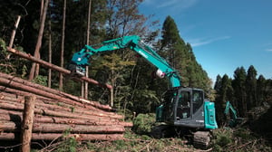 forestry_needs_2