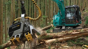 forestry_needs_3