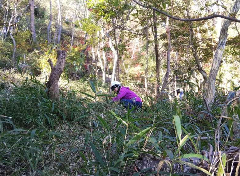 ECOWAYの森 森林整備活動