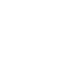 features06