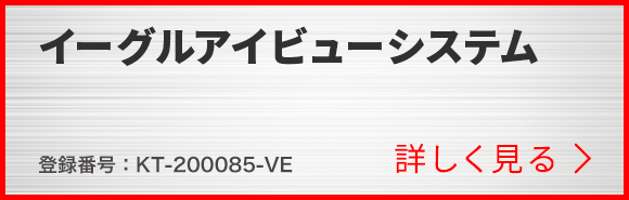 イーグルアイビューシステム