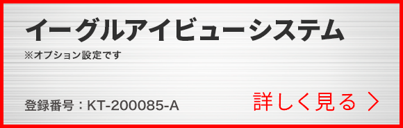 イーグルアイビューシステム※OPT