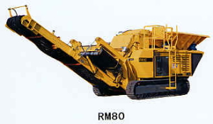 RM80