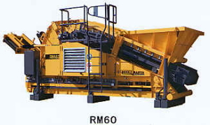 RM60